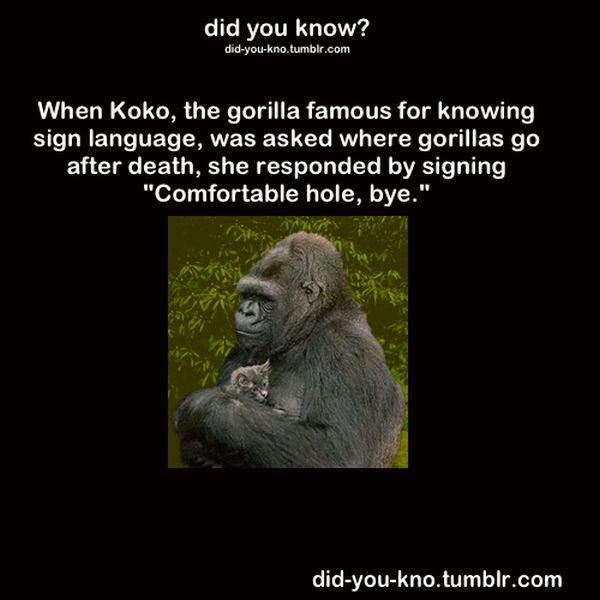 Fascinating Trivia That’s Good to Know