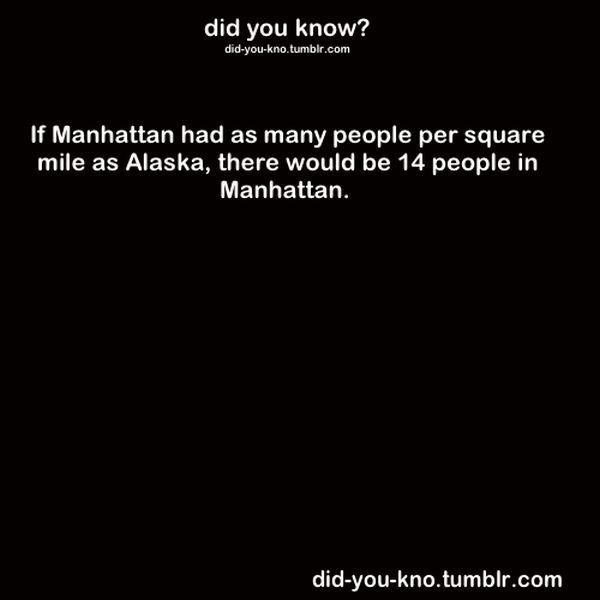 Fascinating Trivia That’s Good to Know