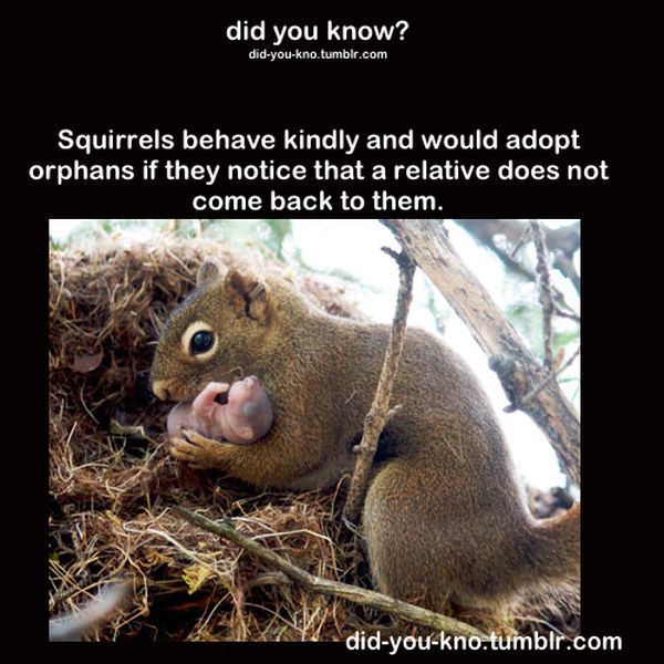 Fascinating Trivia That’s Good to Know