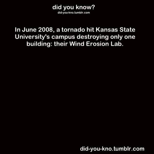 Fascinating Trivia That’s Good to Know