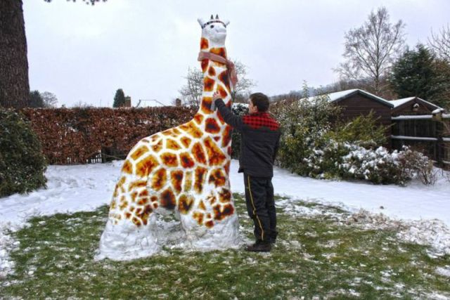 morning picdump 53 pics 3.html - 53 HD Photos | Premium Gallery 2013