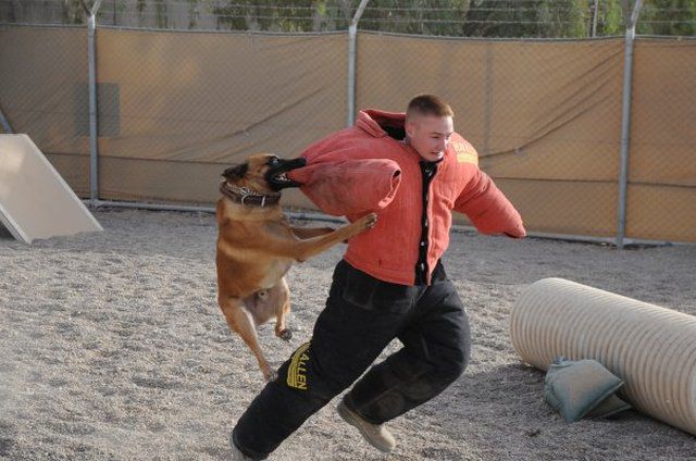 morning picdump 53 pics 3.html - 53 HD Photos | Premium Gallery 2013