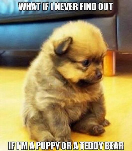 Daily Picdump [WEEKEND EDITION]