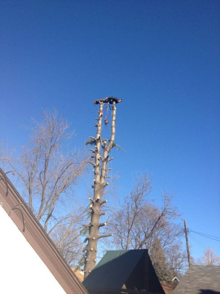 daily picdump weekend edition 91 pics 27.html - 91 HD Photos | Premium Gallery 2013