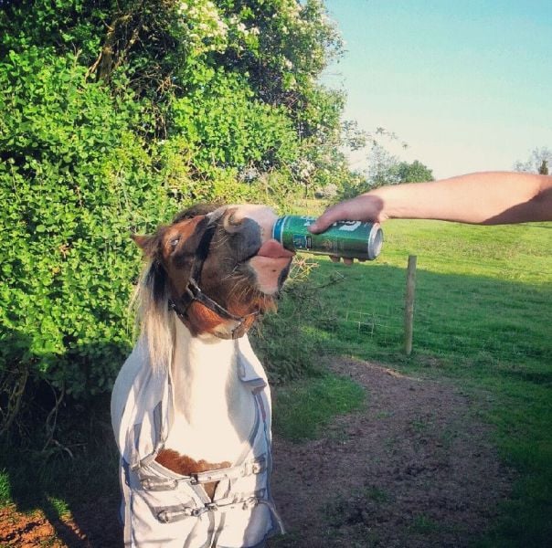 morning picdump 55 pics 4.html - 55 HD Photos | Premium Gallery 2013