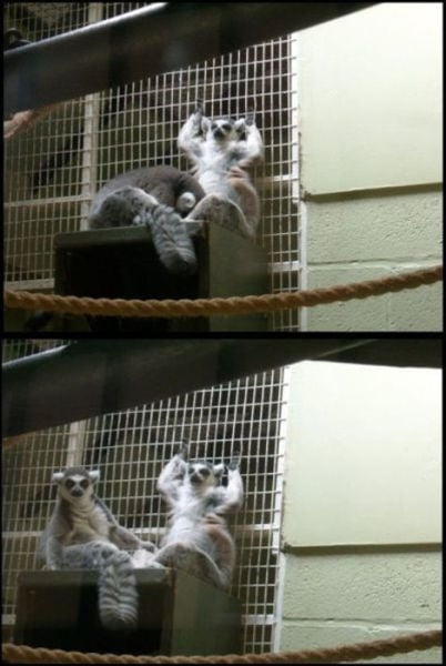 Oops, Totally Busted