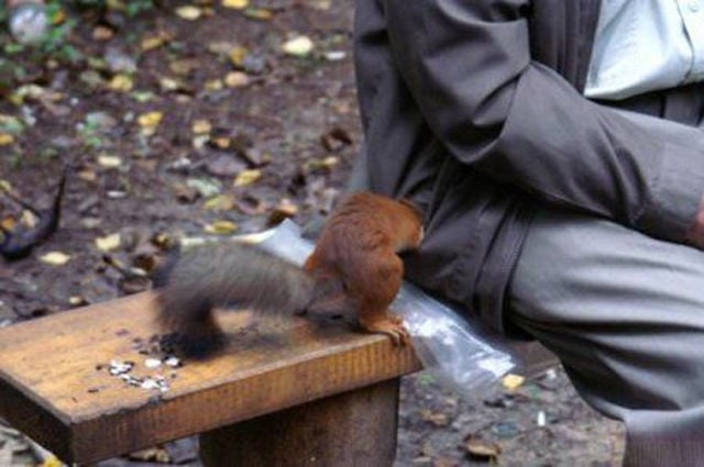 Oops, Totally Busted