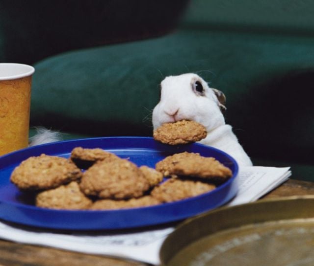 Oops, Totally Busted