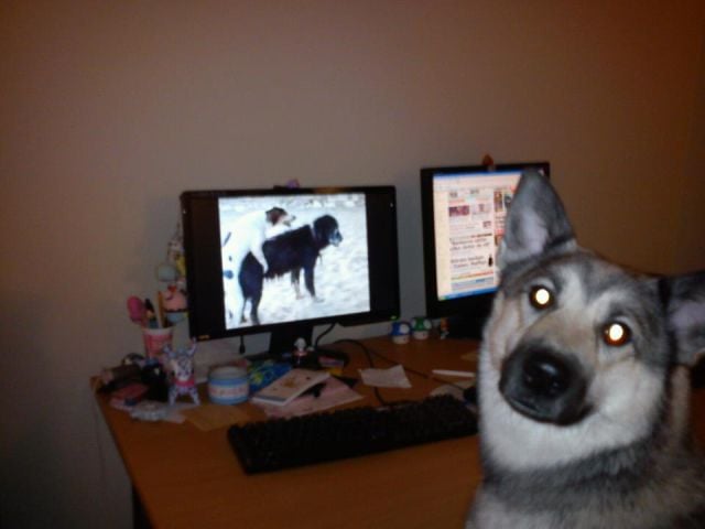 Oops, Totally Busted