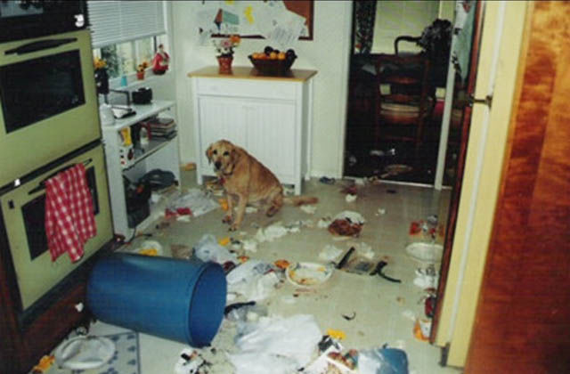 Oops, Totally Busted