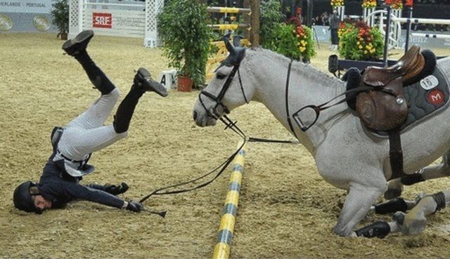daily picdump 105 pics 21.html - 105 HD Photos | Premium Gallery 2013