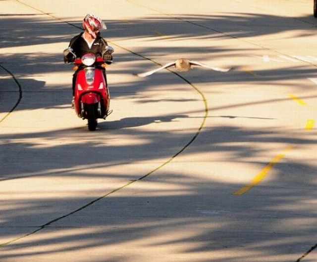 daily picdump 105 pics 21.html - 105 HD Photos | Premium Gallery 2013