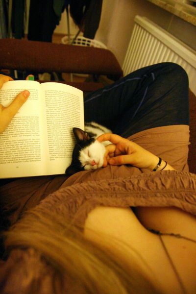 daily picdump 105 pics 21.html - 105 HD Photos | Premium Gallery 2013