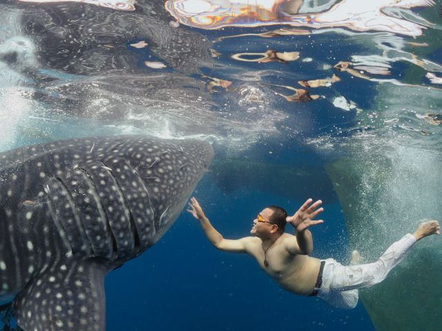 daily picdump 105 pics 21.html - 105 HD Photos | Premium Gallery 2013