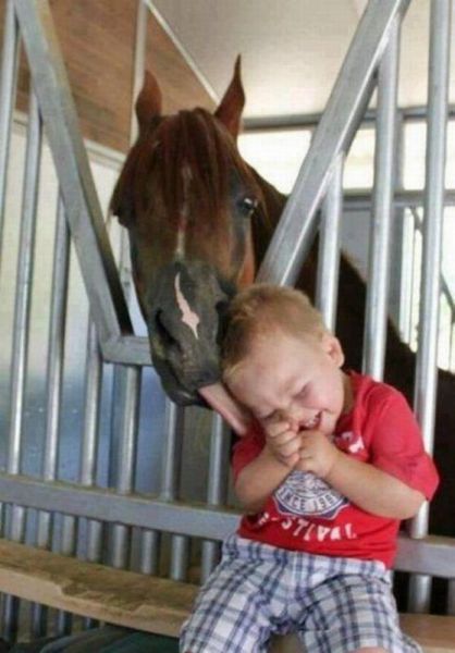 daily picdump 105 pics 21.html - 105 HD Photos | Premium Gallery 2013