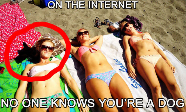 daily picdump 105 pics 21.html - 105 HD Photos | Premium Gallery 2013