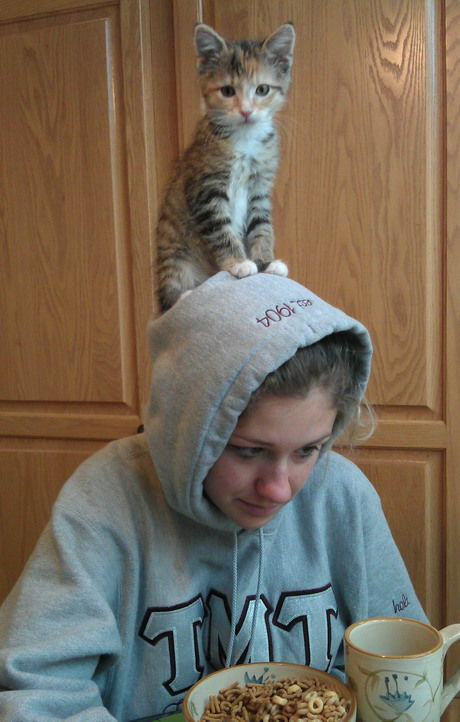 Daily Picdump