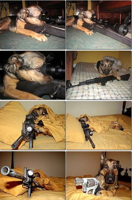 daily picdump 105 pics 21.html - 105 HD Photos | Premium Gallery 2013
