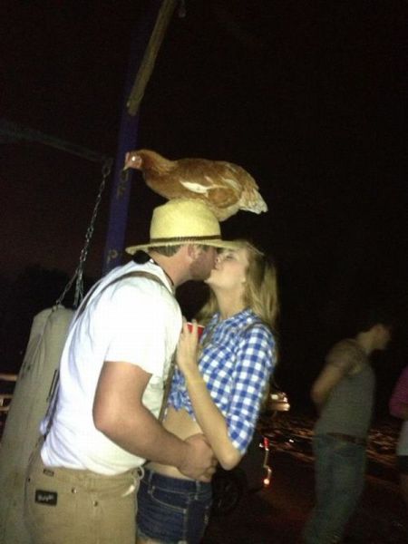 morning picdump 59 pics 11.html - 59 HD Photos | Premium Gallery 2013