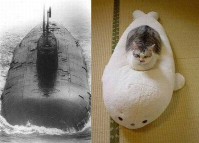 morning picdump 59 pics 11.html - 59 HD Photos | Premium Gallery 2013