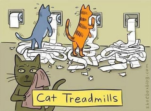 Morning Picdump