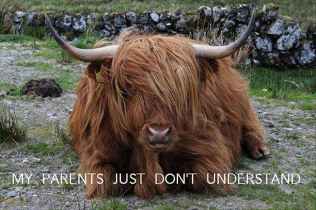 The Sometimes Scary but Still Cute Emo Girls