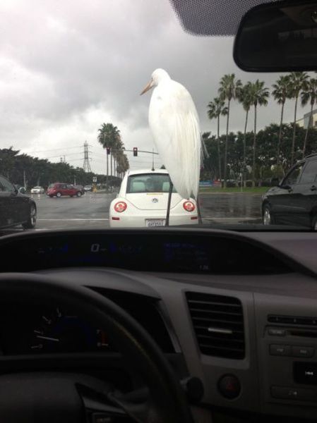 Morning Picdump