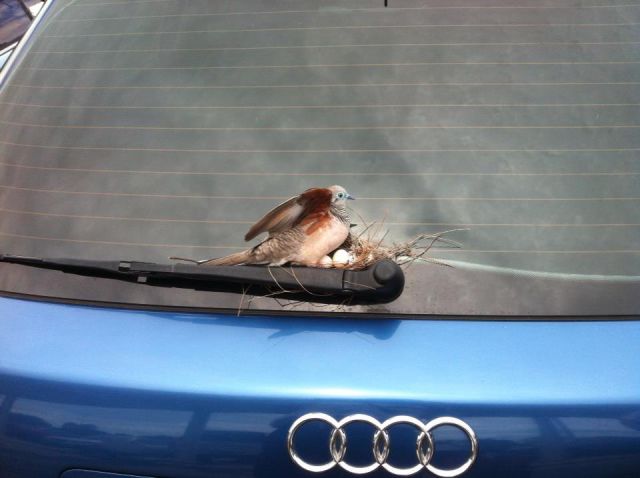 Morning Picdump