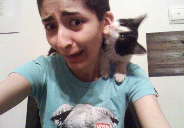 Daily Picdump