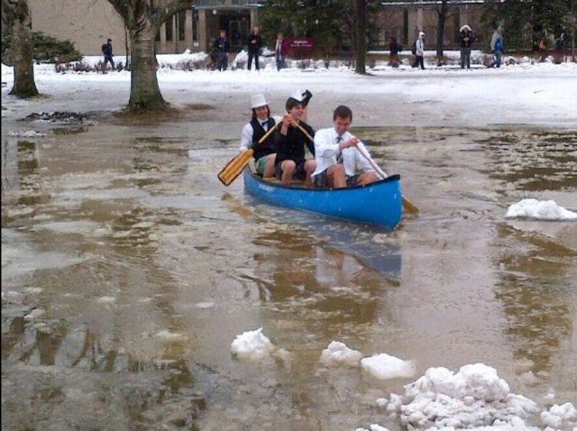 Daily Picdump