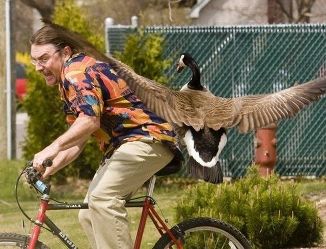 Morning Picdump
