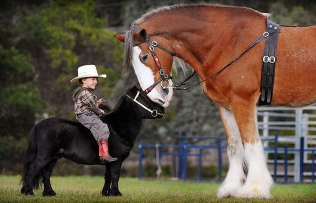 Morning Picdump