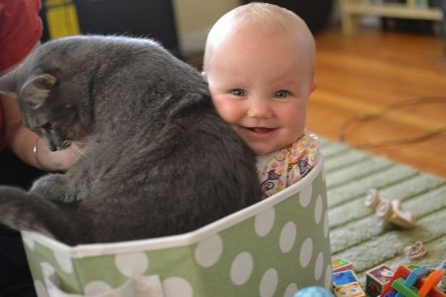 Morning Picdump