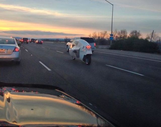 Morning Picdump