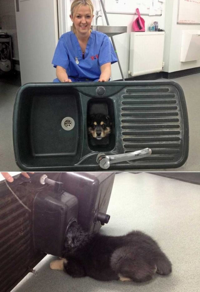 Morning Picdump