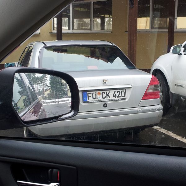 Daily Picdump