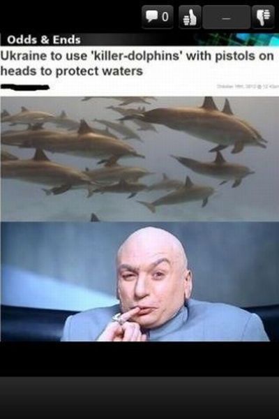 Morning Picdump