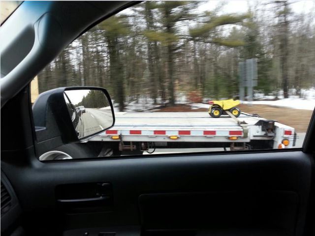 Morning Picdump
