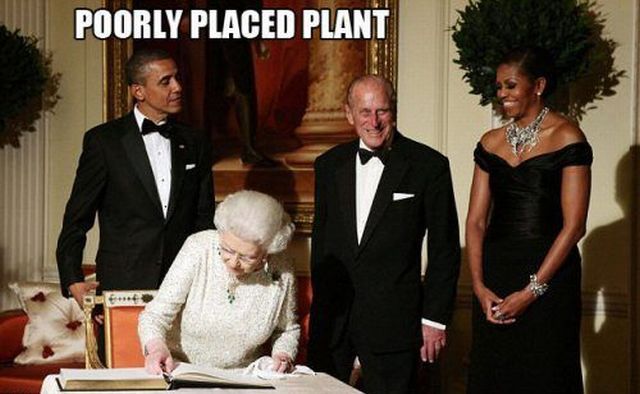 Daily Picdump [WEEKEND EDITION]