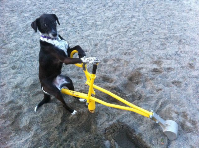 Daily Picdump [WEEKEND EDITION]