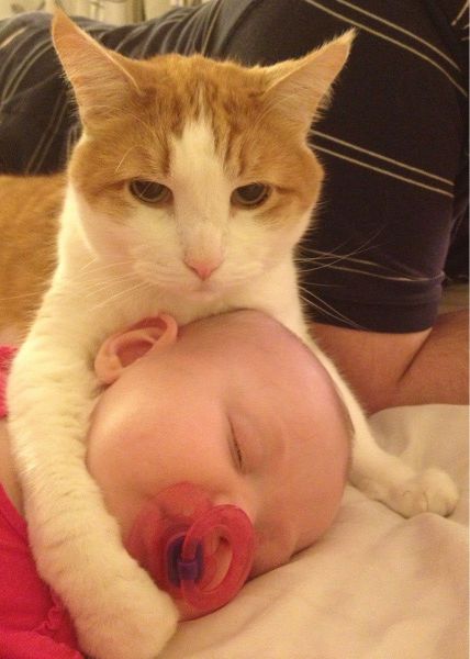 Daily Picdump [WEEKEND EDITION]