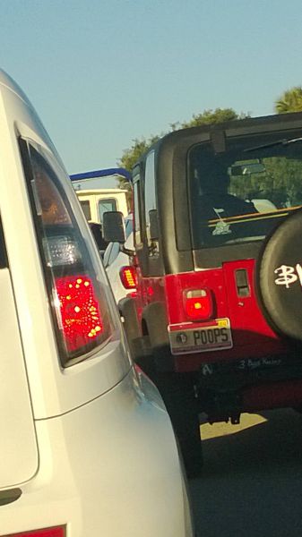 Morning Picdump