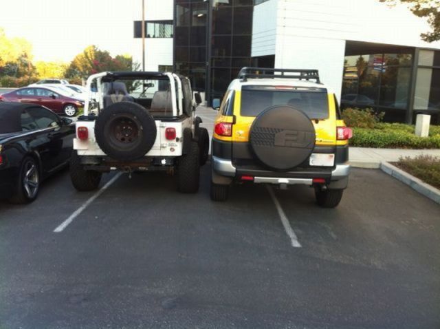 Morning Picdump