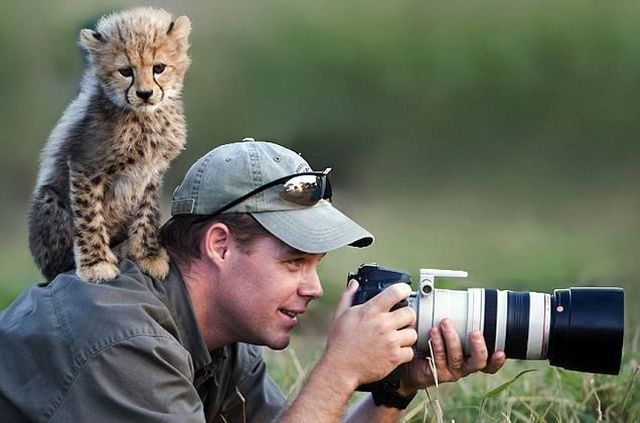 Morning Picdump