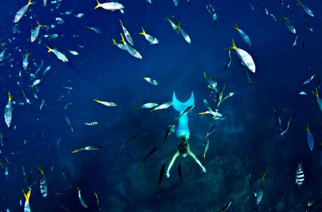 An Authentic Real-Life Professional Mermaid