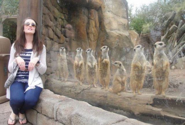 Daily Picdump [WEEKEND EDITION]