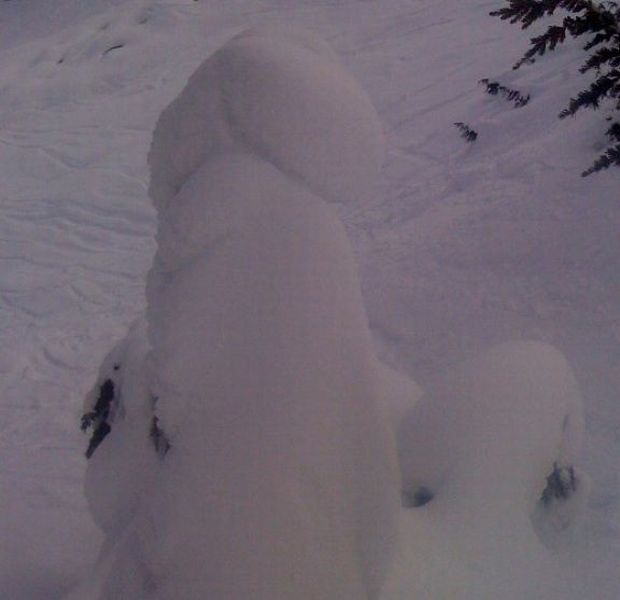 Daily Picdump [WEEKEND EDITION]