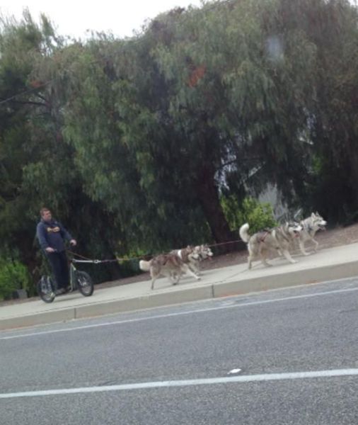Morning Picdump