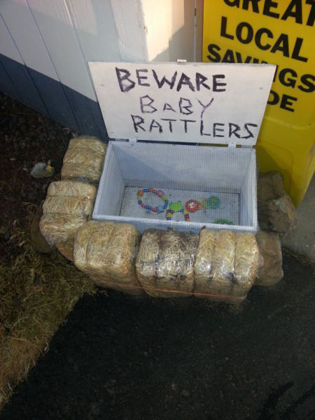 Damn, Almost Nailed It. Part 3