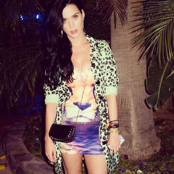 The Hot “Hippie” Girls of Coachella 2013. Part 2